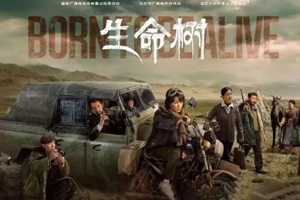 《生命树》：高原上的守护者之歌